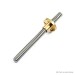 T8 Lead Screw - 100mm, 8mm with Copper Nut