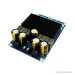 BDM8-A TPA3255 2x300W HIFI Class D Amplifier Board