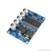 TDA8932 Digital Power Amplifier Module- 35W