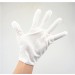 Anti-Static Gloves (1 pair)