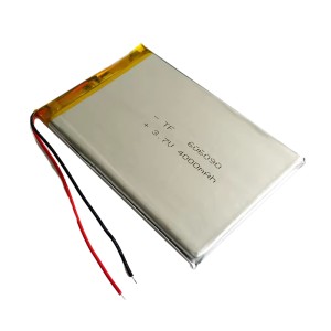 3.7V 4000mAh Lithium Polymer Li-Po Battery, 6x60x90mm