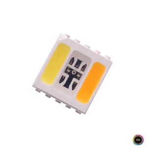 LED RGBWW 5050 Transparent LEDs - Pack of 20