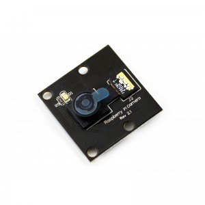 Raspberry Pi Camera Module Type D