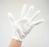 Anti-Static Gloves (1 pair)