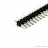 1x40 Pin Male Header - 2.54mm Pitch - Pack of 50
