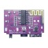 5W TWS Bluetooth Amplifier mono board with Type C