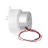 DC Gear Motor 300