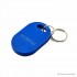 Dual Frequency 125KHz/13.56MHz RFID Key Fob